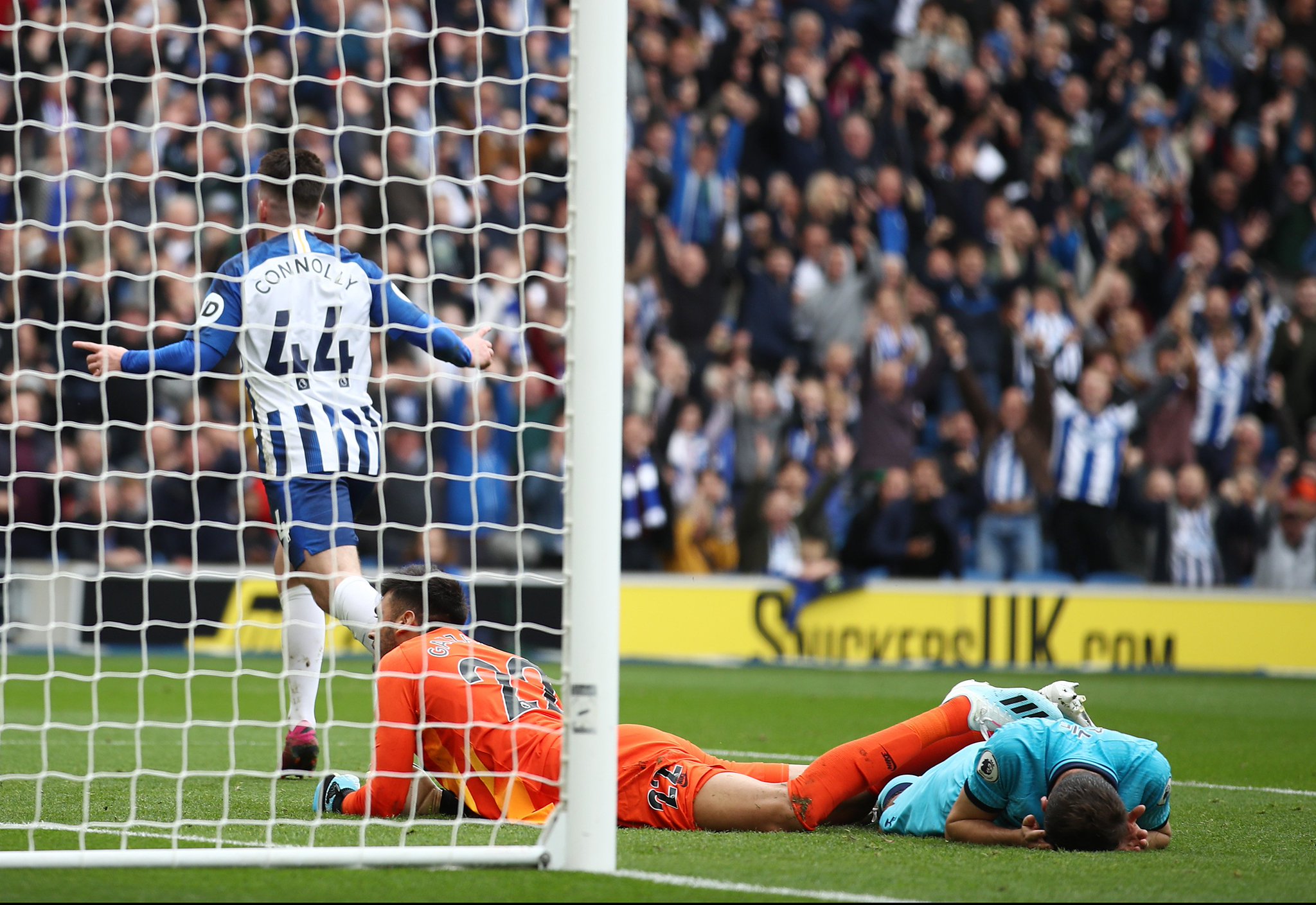 职业生涯的 职业生涯的